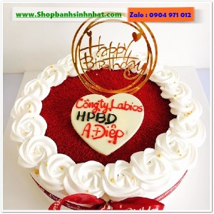 Bánh Sinh Nhật Tiramisu - T309